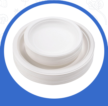 Biodegradable Plates